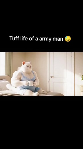 Salute to the USA Army: A Cat's Perspective