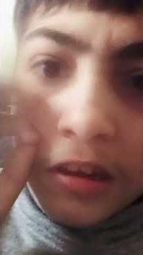 the complete colletion of nightmare logos collection (2019) edition trex production