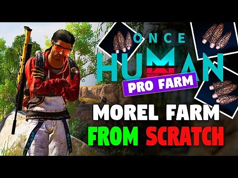 3 Best Ways to Get Morel Seeds | Morel Farm From Scratch | ONCE HUMAN