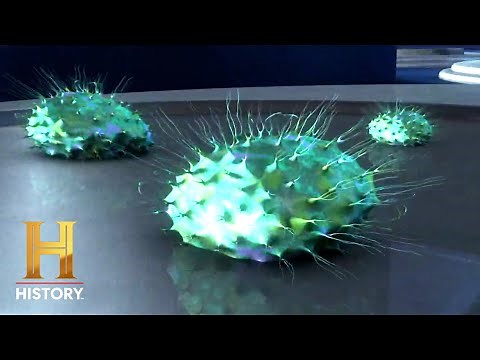 Ancient Aliens: Did Life Originate in Outer Space? (Special) | History