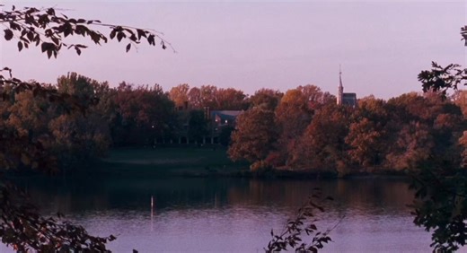 113K views · 2.2K reactions | we don't read and write poetry because it's cute. we read and write poetry because we are members of the human race. and the human race is filled with passion. and medicine, law, business, engineering, these are noble pursuits and necessary to sustain life. but poetry, beauty, romance, love, these are what we stay alive for. ️ dead poets society (1989) | Rew Hollander | Facebook