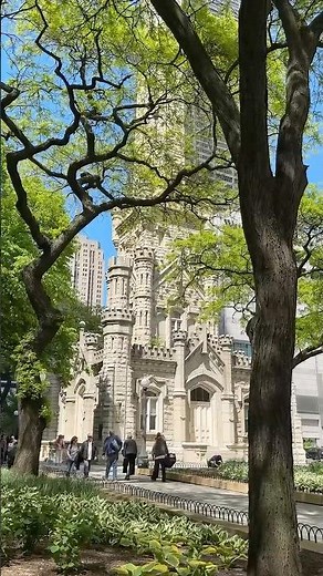 The Old Chicago Water Tower survived the great Chicago fire in 1871. #Chicago #Architecture #Shorts