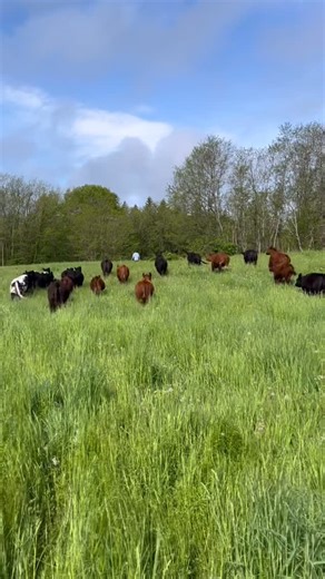 Dirty Dog Farm on Instagram