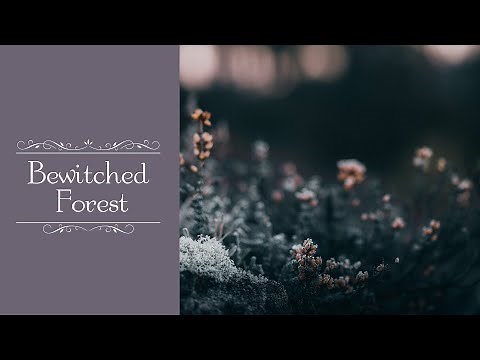 Mysterious dark fairy tale BGM "Bewitched_Forest" [Royalty Free Music]1h