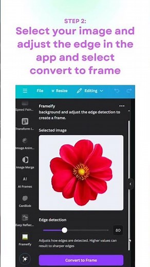 Make Stunning Frame Images in Canva (Step-by-Step Guide!)