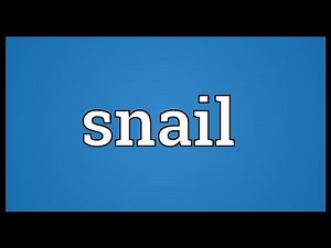 Snail Meaning