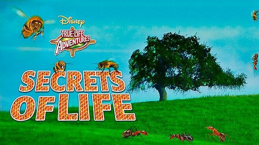 The Vanishing Prairie