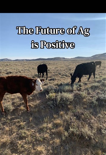 The future of agriculture is POSITIVE 👩🏼‍🌾☀️ #ranch #agriculture #grazing #cattle #regenerativeagriculture