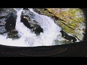Fort Worth Museum of Science and History offers one of a kind IMAX screen