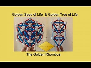 The Golden Seed and Tree of Life Create 5 Platonic Forms and a NEW Flower of Life based on PHI Ratio