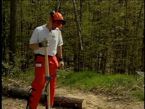 01 Basic Training for Ground Operations in Tree Care - An Orientation to the Arboriculture Profession