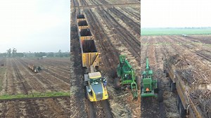 2K views · 46 reactions | Unitrans is the integrated logistics provider that enables agricultural success in Sub-Saharan Africa.  We partner with farmers and manufacturers from the start, crafting solutions for every stage of production – from moving goods to optimising yields. ️ We're passionate about innovation, so we integrate cutting-edge tech like AI and data analysis to empower real-time decision making and sustainable growth. | Unitrans | Facebook