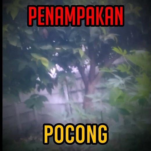 TEROR.POCONG DULOH.SARANG DEMIT.DI POHON BLINJO | Vlog & Review.
