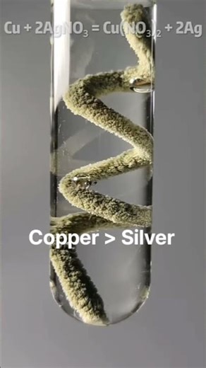 Copper–Silver Nitrate Displacement Reaction #experiment