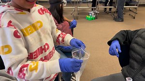 2.4K views · 27 reactions | Science = Fun! 5th Grade scholars in Mr. Weseman's class learned about chemical reactions with fun group experiments yesterday. Catch all the smiles as they see their practical learning come to life! -- #WeAreGIPS | Howard Elementary | Grand Island Public Schools | Facebook