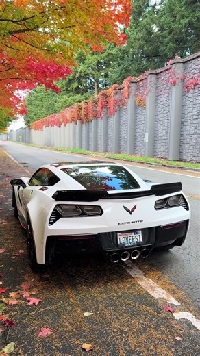 Chevrolet C7 Z06: Performance and Features Review