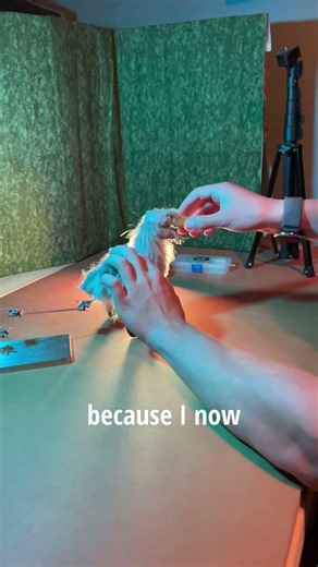 We got to 7/50! | 50 days of making a stop-motion everyday #stopmotion