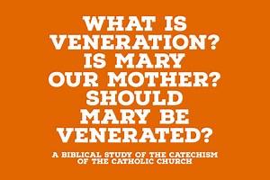 What Is Veneration? Is Mary Our Mother? Should Mary Be Venerated? — The Catholic Blog