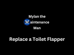 How to Replace a Toilet Flapper | Step by Step