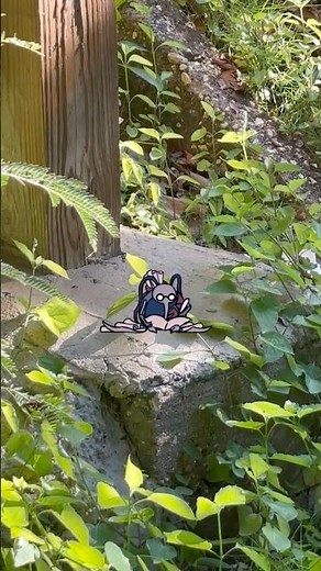 Where is that humming coming from? #hollowknightsilksong #hollowknight #cornifer