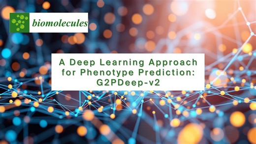 A new study, published in the Open Access journal Biomolecules, presents G2PDeep-v2, a web-based deep learning framework for analysing multi-omics data across diverse organisms. Biological systems are highly complex and contain several layers of molecular information covering numerous processes. G2PDeep-v2 provides the first web server that allows researchers to bring diverse datasets together into a single model to help predict phenotypes in a range of different organisms. By identifying patter