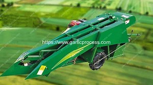 2019 Advanced Garlic Harvester Machine with Stem Cutting Function | Garlic Peeling Machine, Garlic Breaking Machine, Garlic Root Cutting Machine