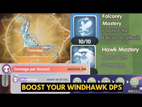 ULTIMATE GUIDE BOOST YOUR WINDHAWK DPS