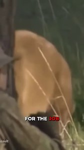 How Bear Spray Can Protect You from Attacks