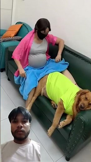 Dog & Girl playing together 😀 #美女搞笑 #shorts