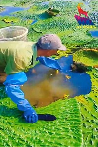 108K views · 175 reactions | strange phenomena | Beautiful Life | Facebook