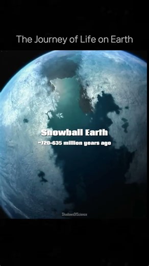 The Journey of Life on Earth