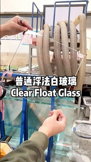 Clear Float Glass
