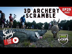 3D Archery Scramble