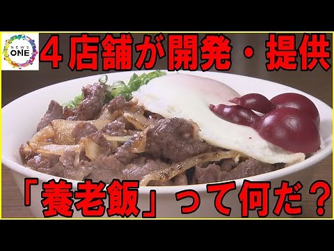 町おこしで開発…岐阜・養老町の新ご当地グルメ『養老飯』タレ付き肉や特産“ひょうたん”型の食材等で認定