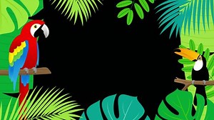 Full Hd Summer Tropical Transition Animation: стоковое видео (без лицензионных платежей), 1105785841 | Shutterstock