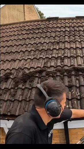 This Moss Removal Looks So Easy! #roofcleaning #exteriorcleaning #cleaning #pressurewashing