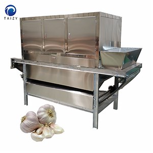 [Hot Item] Automatic Dry Type Garlic Processing Machine Garlic Peeling Machine