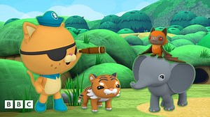 Octonauts: Mammals quiz