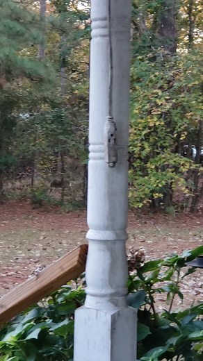Handsome visitor this morning 😍 Good sized little buck! | Baby's barnyard