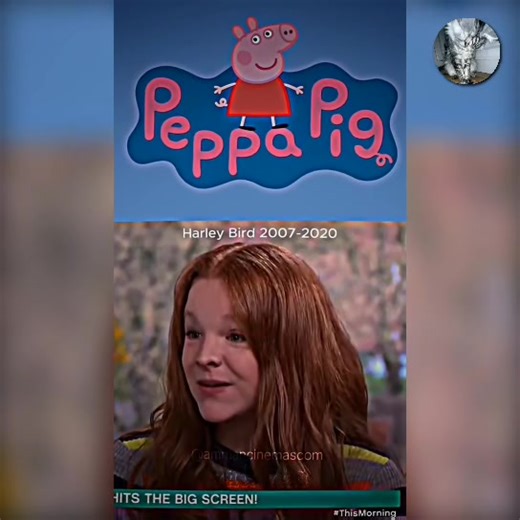 7.6K reactions · 221 shares | Peppa pig voice actor  #fbyシvideo #fypviralシ #fypageシ #fypシ゚ #fyp #fb #peppapig | Yäñ Yåñ | Facebook