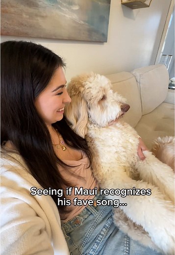 Talking Dogs: Heartwarming Singing Dog Moments