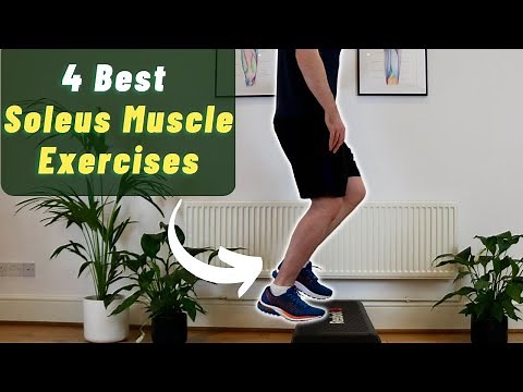 Soleus Muscle Exercises | Soleus Tear Exercises | Soleus Muscle Pain Exercises for Runners