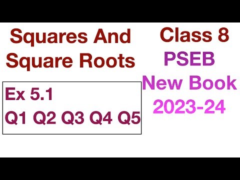 Q1 Q2 Q3 Q4 Q5 Ex 5.1 | Squares And Square Roots | Chapter 5 Class 8 PSEB New Book 2023 Maths