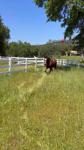 Krista Crookham- El Dorado Hills Real Estate on Reels