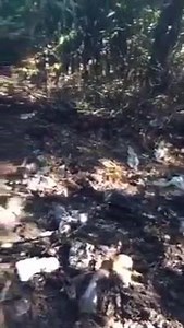 8.3K views · 28 reactions | Warning: The details of this story are...