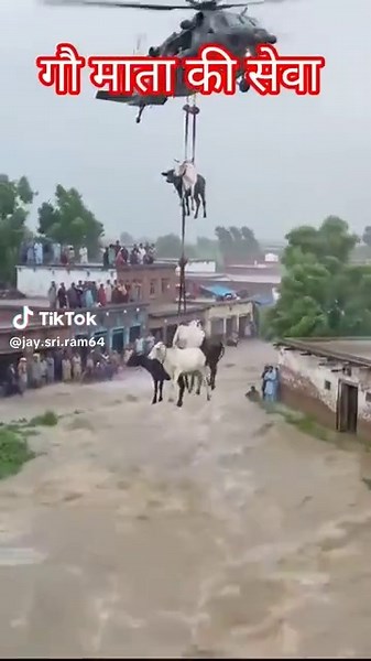 @🥷🏻 Jai Sri Ram 🥷🏻