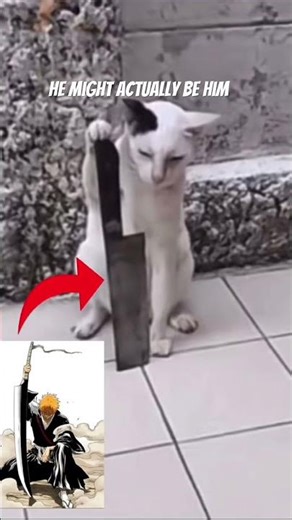 Shi crazy #memes #anime #bleach #viral #shorts #fyp