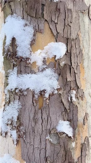 St. James’s Episcopal Church on Instagram: "We continue to reflect on the wisdom of Wendell Berry during our Advent Community Class Series. Join us tomorrow at 5:00 pm in the Parkinson Room (located below the sanctuary). Dinner will follow in Valentine Hall. Enjoy chili and cornbread prepared and served by the Staff of St. James’s!"