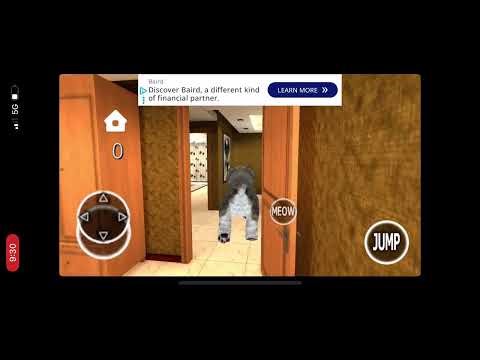 Kitten Cat Simulator 3D (IOS) (gameplay footage)