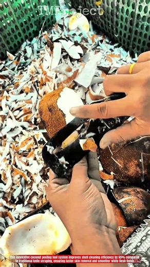 Super Innovative Coconut Peeling Tool System: Best Efficient Shell Cleaning